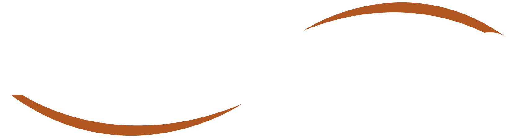Feedverse logo